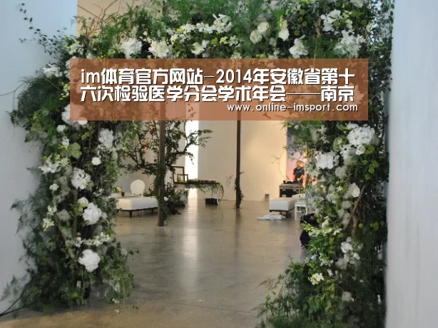 im体育官方网站
