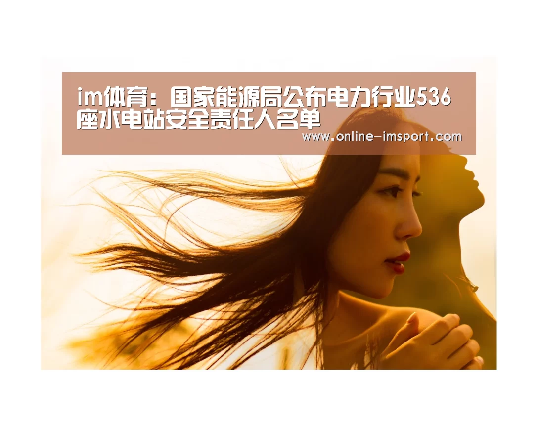 im体育:国家能源局公布电力行业536座水电站安全责任人名单(图1) im体育