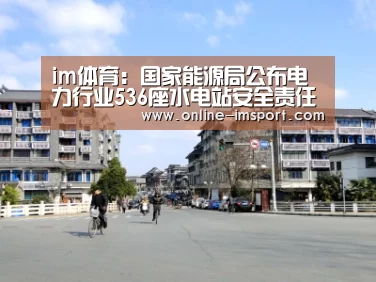 im体育:国家能源局公布电力行业536座水电站安全责任人名单(图2) im体育投注