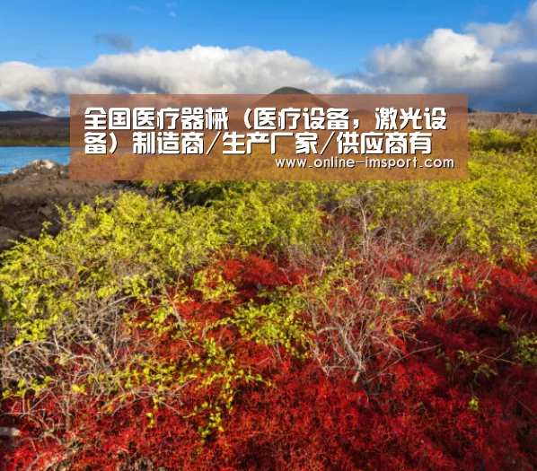 im体育下载