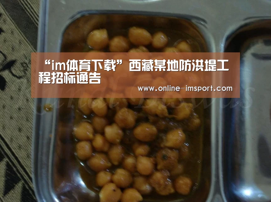 “im体育下载”西藏某地防洪堤工程招标通告(图2) im体育投注
